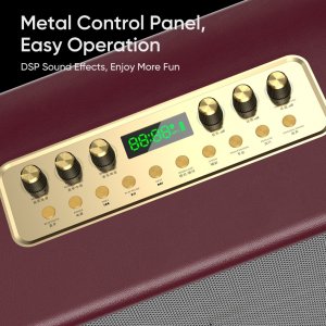 LOA CÁCH TAY ĐIỆN DI ĐỘNG SANTANA S-226. MICRO, LOA FULL, VANG, ĐẨY, LOA GIÁ RẺ