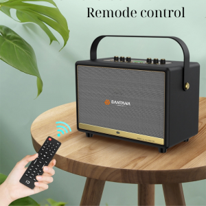 LOA CÁCH TAY ĐIỆN DI ĐỘNG SANTANA S-226. MICRO, LOA FULL, VANG, ĐẨY, LOA GIÁ RẺ