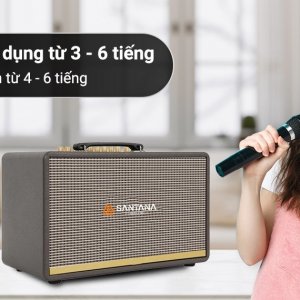 Cấu tạo của loa gồm 3 đường tiếng với loa Bass 2 tấc (đường kính 20 cm), loa Mid (đường kính 10 cm), và loa Treble (đường kính 6 cm). Điều này đảm bảo âm trầm sâu, âm trung mạnh mẽ và âm cao ngọt ngào, đầy chi tiết.